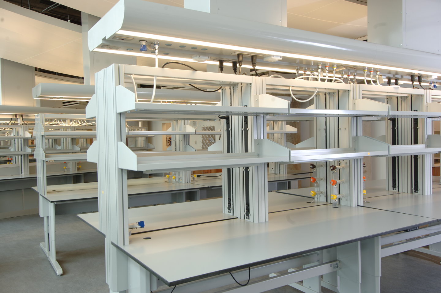 Hallmark Lab Application