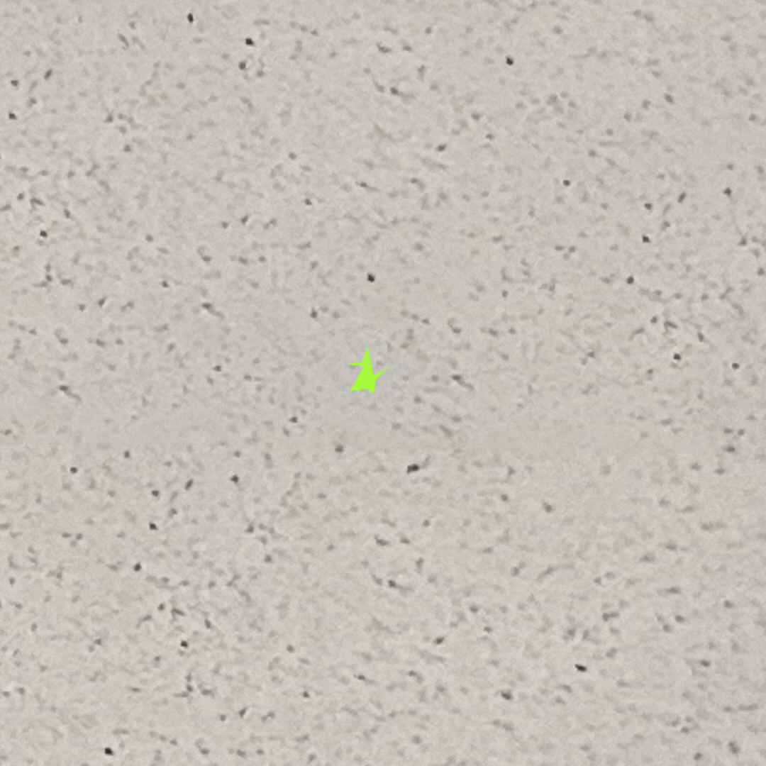 ESD Paint Spark Animation