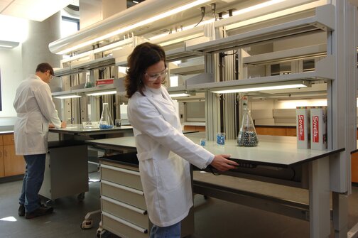 Hallmark Lab Application 2