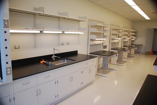 Laboratory sinks epoxy