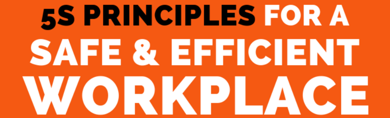 5S Principles for Workplace Header, an infographic guide from Treston