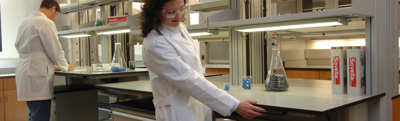 Hallmark Motor Application Model