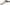 Dimension 4 light assembly 72" W/8'CORD